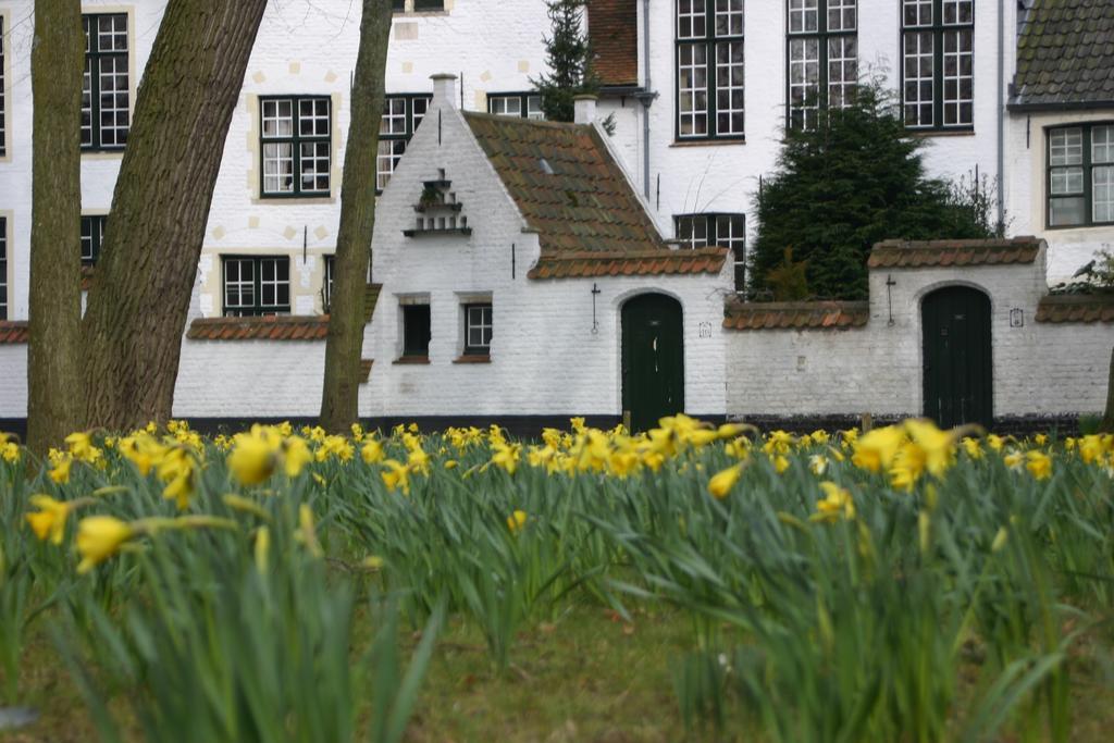 B&B Grey Bruges Exterior photo